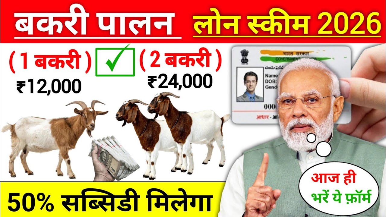 बकरी पालन योजना 2026 || Goat Farming Business Loan Scheme 3 Lakh to 50 Lakh || bakari loan kaise le.