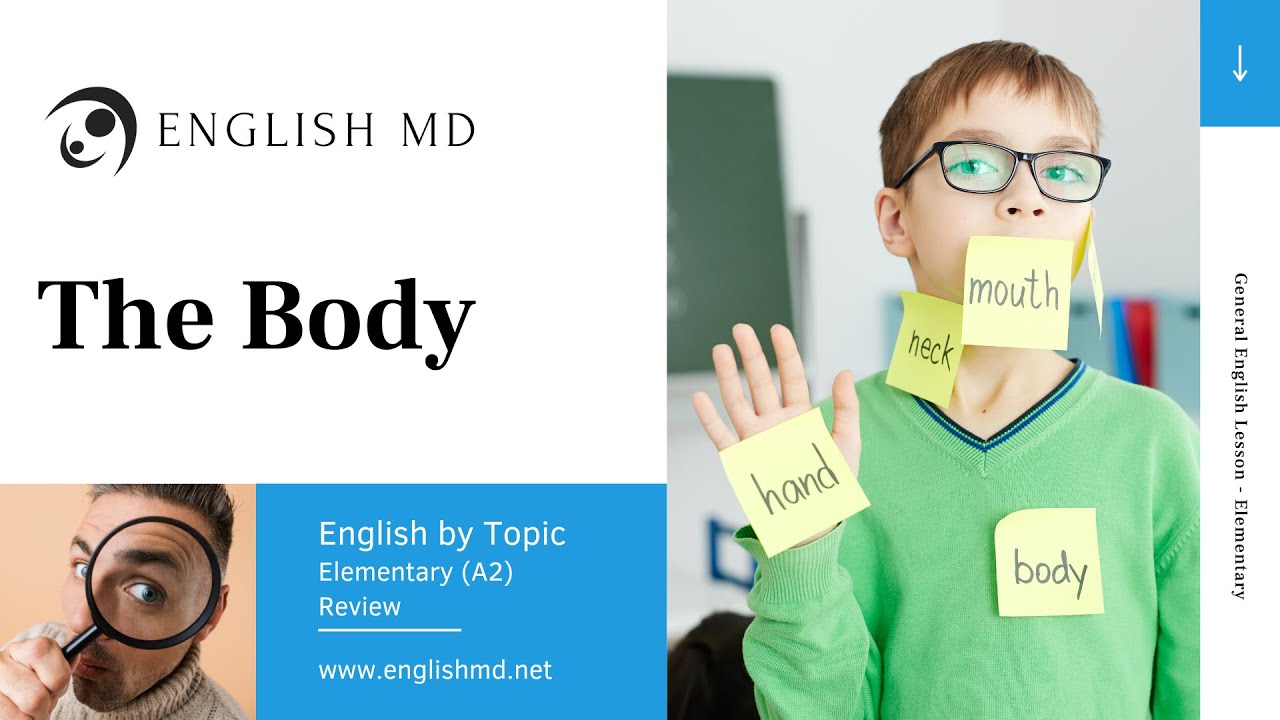The Body | Body Parts & Movements | Elementary English for ESL Teens & Adults (A2)