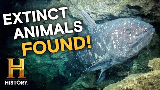 Scientists Stunned By Extinct Creature Discovery Season 4 Mysteries Unearthed With Danny Trejo