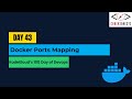 Day 43 | Docker Port Mapping | KodeKloud 100 Days of DevOps