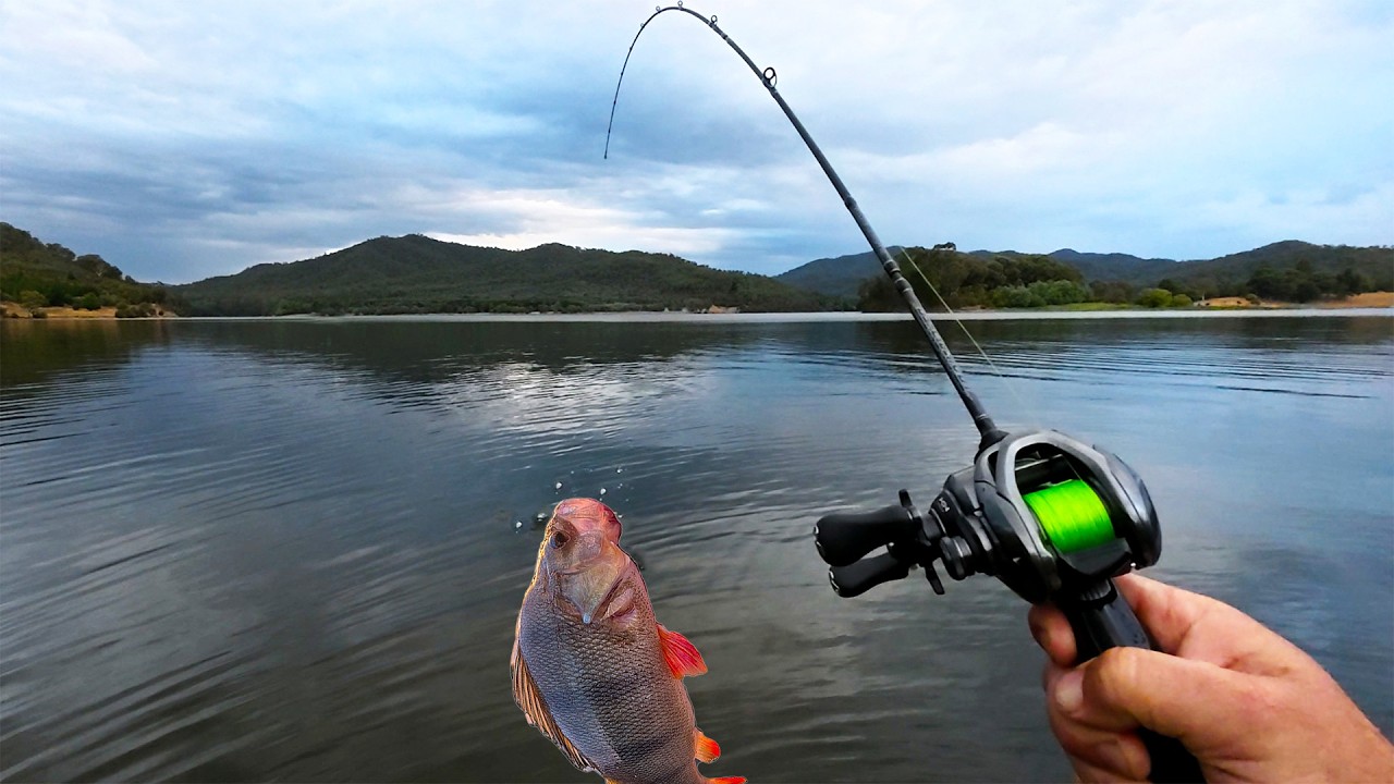 BFS Fishing At Lake Buffalo