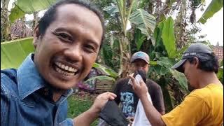 FILM JADUL NOBAR Di TEMPAT HAJATAN