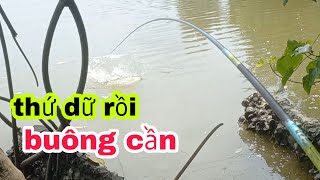 Hôm nay gặp thứ dữ rồi, buông cần cho nó lôi luôn screenshot 3