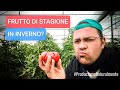 Il Pomodoro è un frutto di stagione in inverno ?!? 🍅🥶