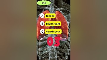 Which muscle is responsible for breathing at rest? #anatomyquiz #quiz #healthfacts #science #trivia