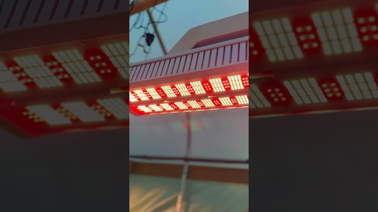 The growth with these Grow Pro Solutions GH1000 is astonishing! 