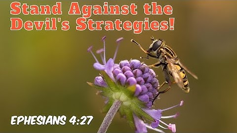 Get Angry But Do Not Sin - Ephesians 4:27