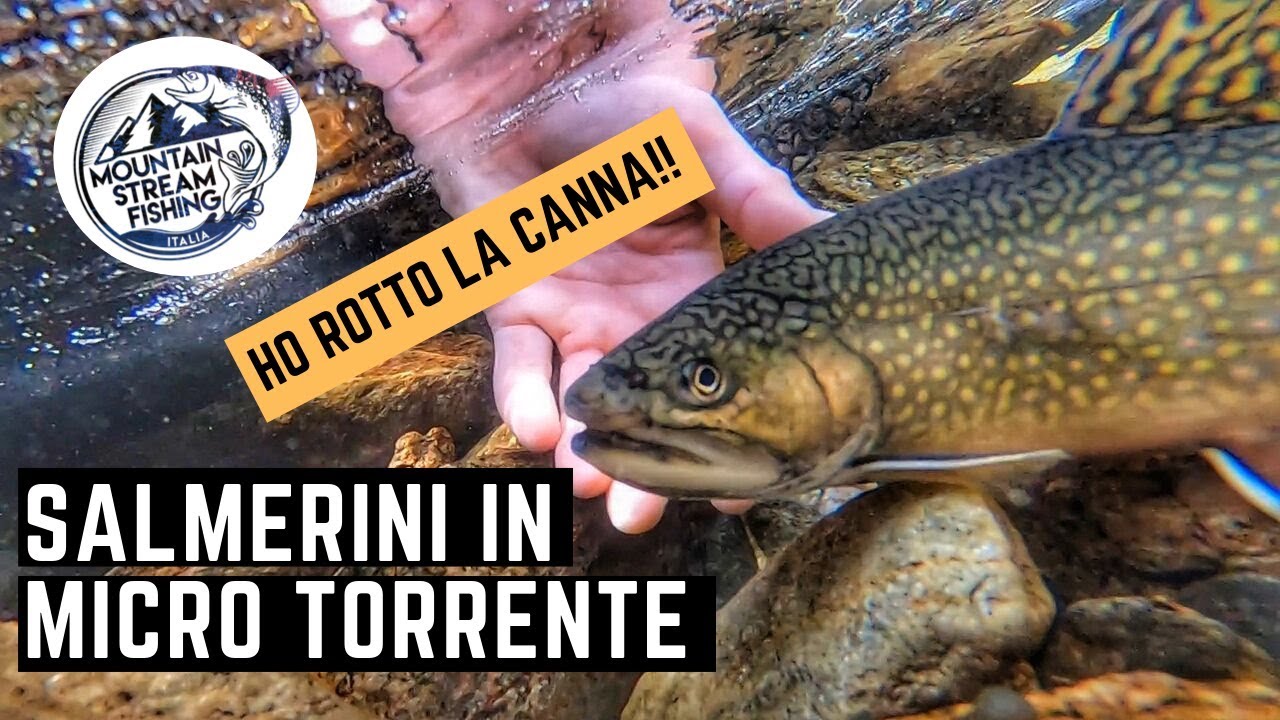 TROTE NEI MINI-TORRENTI [Episodio 8]: SALMERINI con canna ROTTA, in MICRO TORRENTE a 2000 mt.