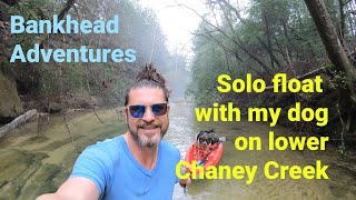 Lower Chaney Creek/Sipsey River solo float with my dog