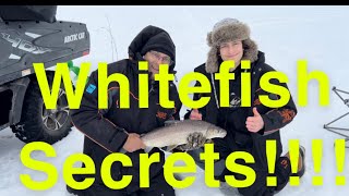 Tips and Tricks on how to catch whitefish- March 10th 2023