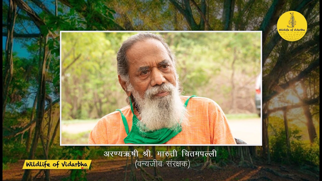 गुटी कलम बांधण्याचे तंत्र | श्री. मारुती चितमपल्ली | Maruti Chitampalli |  #MarutiChitampalli