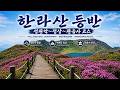 한라산 성판악→백록담→관음사코스.Hallasan Seongpanak → Baekrokdam → Gwaneumsa Trail.#한라산등반#성판악코스#관음사코스#hallasan#특전사