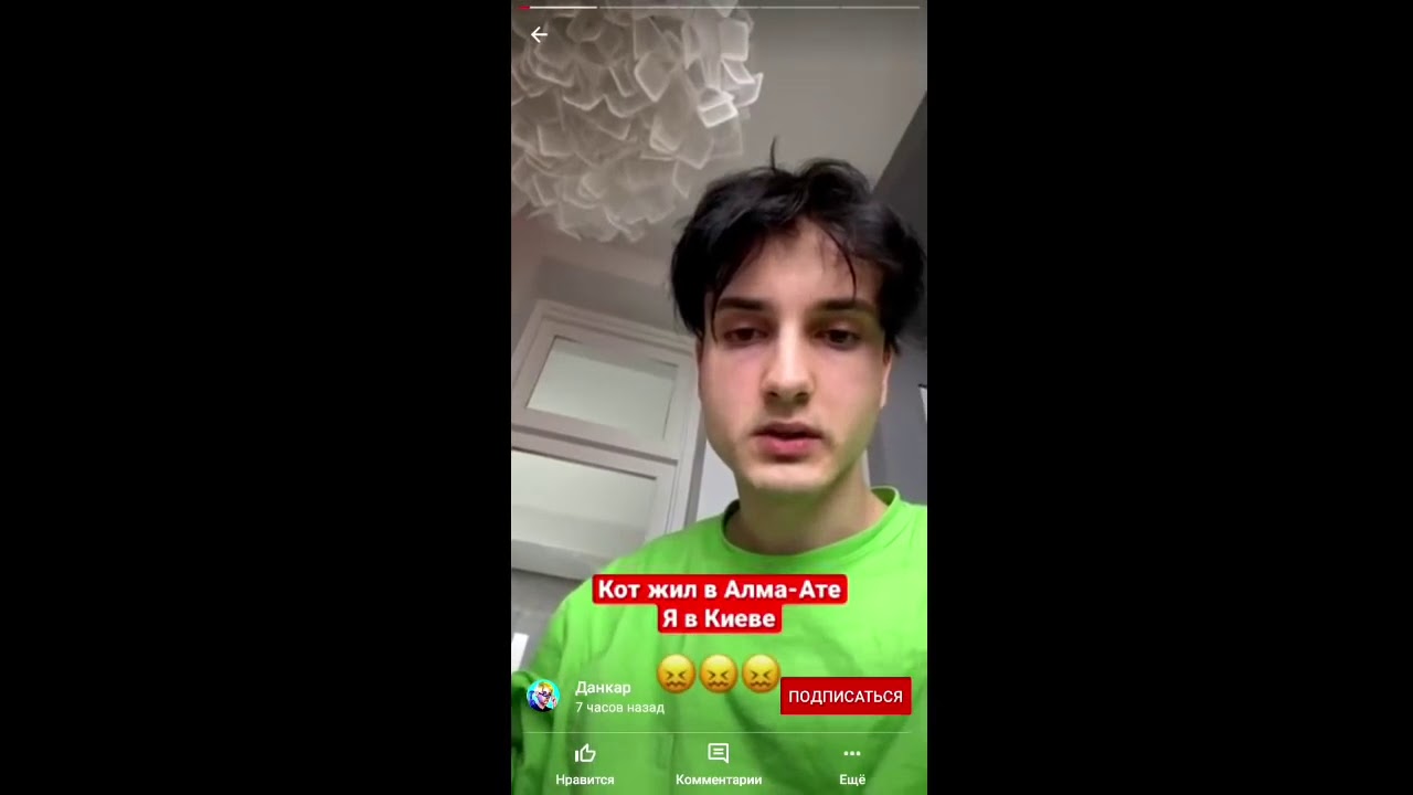 Данкар убил симбу картинки