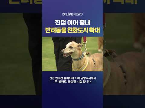 진접 이어 평내 반려동물 친화도시 확대 #딜라이브뉴스 #shorts
