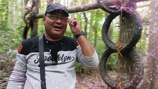 High Rope Monkey Bridge Obstacle for 11th WMR Scouts JAMBOREE