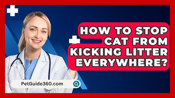 How To Stop Cat From Kicking Litter Everywhere? - PetGuide360.com