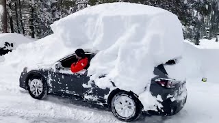 Best Winter Fails by FailArmy 2,950,190 views 3 months ago 22 minutes