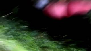 Orang gila main gitar konyol kocak