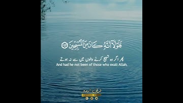 🌊فلو لا أنه كان من المسبحين📿✨ سورة الصافات:١٣٩-١٤٤|عمير شميم|As Saaffaat:139-144|Umair Shamim
