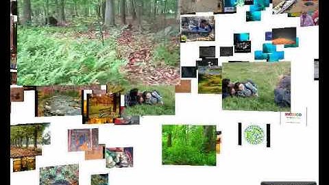 3D Clustering: Looking for Sequences with Wood