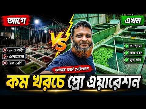 ১ পাম্পে ৫০ ট্যাংক! কম খরচে Fish Farm Aeration Setup | Ornamental Fish Farming Bangla