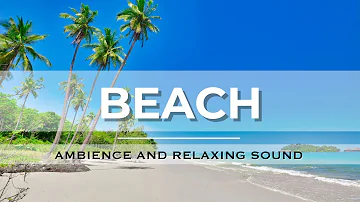 Tropical Beach Ambience with Palm Trees & Gentle Ocean Wave Sounds | Nature Ambience