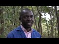 Dziko la Mkaka ndi Uchi - 1 September 2022