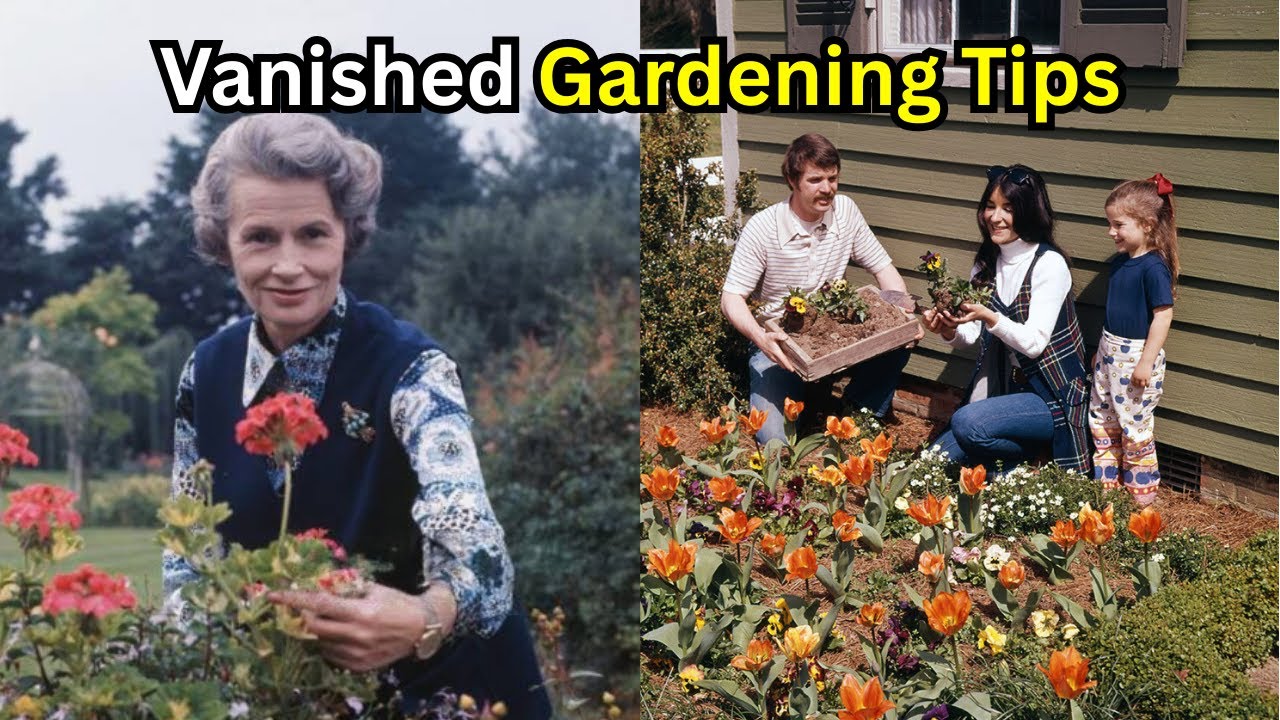 15 советов по садоводству от ваших бабушек и дедушек из Великобритании, о которых вы пожалеете, ч...