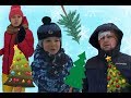ИЩЕМ ЁЛКУ на НОВЫЙ ГОД !!! Looking for Christmas tree