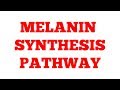 Melanin synthesis pathway || Phenylalanine Metabolism || Part-2 || #Biochemistry