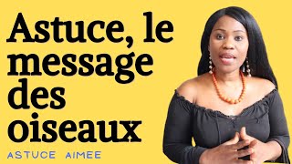 Astuce, le message des oiseaux ce que vous devez savoir  (Astuce Aimée)