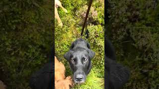 Out With The Team — Driven Grouse