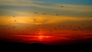 1 Hour Meditation Music with Beautiful picture #498 | Relaxing Meditation