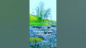 The Sound Of Water Calms The Soul صوت الماء هدوء النفس 