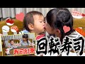 【回転寿司】ののちゃんが大好きなお寿司を思う存分食べさせてたらひーちゃんの方がすごかった!?#ののちゃん#ひーちゃん