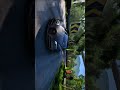 BUGATTI VEYRON #Bugatti #Veyron #ForzaHorizon5 #FH5 #ForzaHorizon6 #Racing #Hypercar