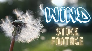 No Copyright Wind Footage | Creative Commons Music @EyeDefinition101