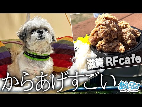 からあげがはみ出るランチが最高のドッグラン&カフェ見つけました【滋賀RFcafe】