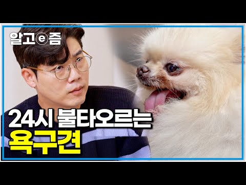 &amp;quot;설쌤 보자마자 알았다&amp;quot; 욕구견? 그 문제가 아니라 이 친구 아픈 것 같아요｜세상에 나쁜 개는 없다｜알고e즘