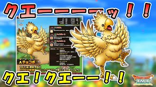 【ドラクエタクト】配布Ａランク チョコボの性能を考察しようの回