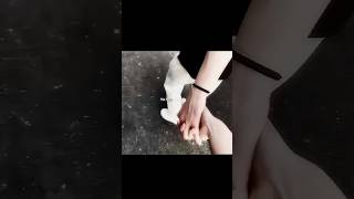 Some Love Stories Dont Need Words Just A Song And A Look.