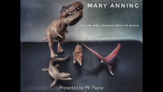 Mary Anning The Girl Who Cracked Open The World - Lesson 2