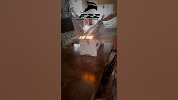 Freewing F-22 Raptor 90mm with 5280 RC Afterburner.