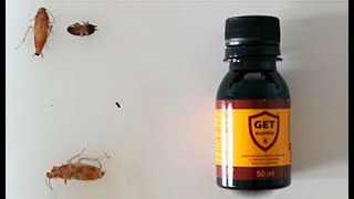 Высохший Гет Экспресс убил всех тараканов за 48 часов