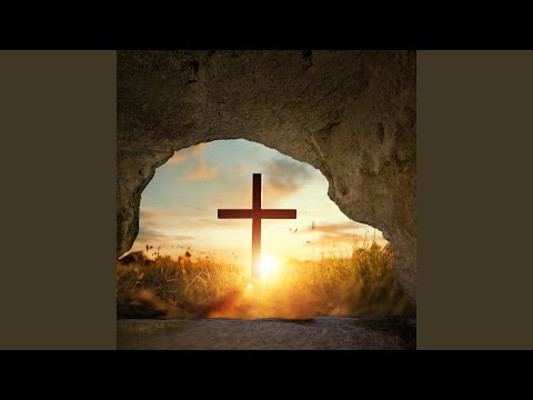 Sobre o Salmo 23, O Senhor é meu Pastor e nada me faltará