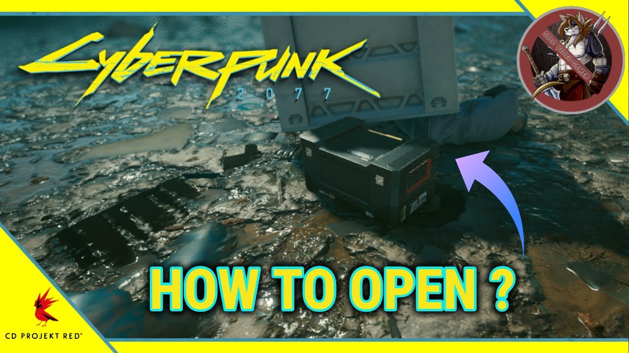 Cyberpunk 2077 How to Open the Underwater Hidden Locked Box in Little
