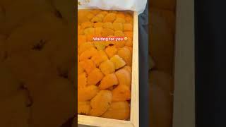 Because of Hokkaido’s nutrient-rich waters, uni develops deep sweetness and luxurious creaminess.