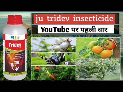 Ju tridev insecticide/ tridev insecticide / ju tridev insecticide uses ...