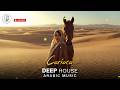 Arabic House Music | Desert Oasis Deep House Mix | Oriental Electronic Vibes 2026 - Carioca
