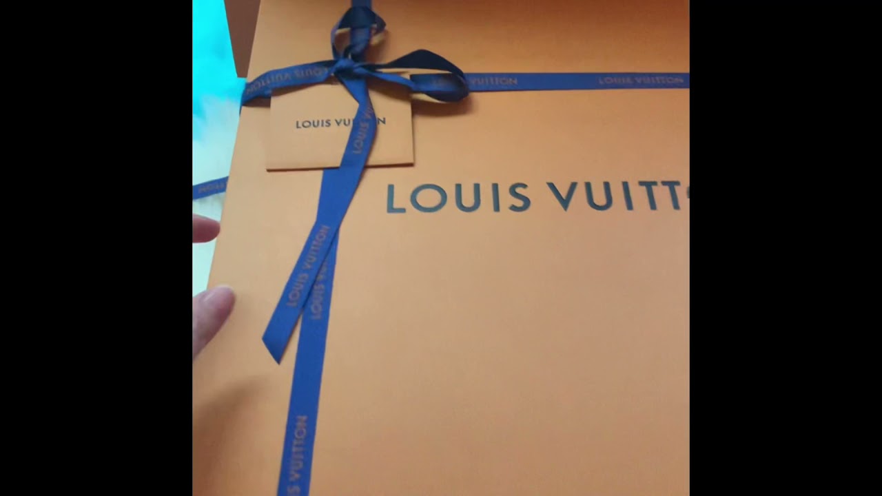 Louis Vuitton Damier Ebene Canvas Speedy 25 Bag 